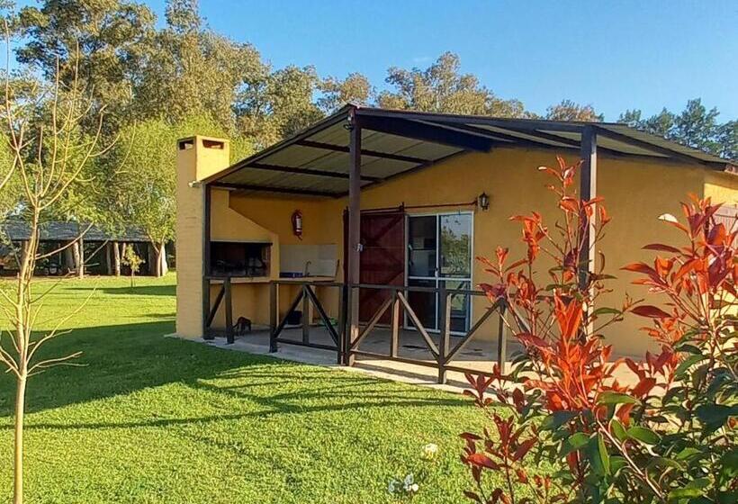 Общежитие Posada Del Pio, Granja