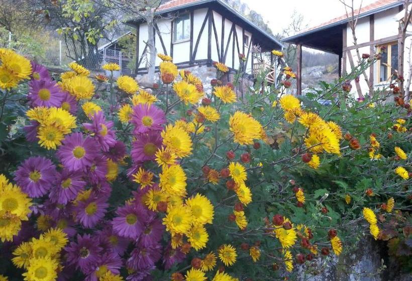 هتل Golemi Kamik Pirot