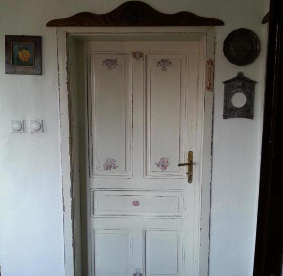 هتل Golemi Kamik Pirot