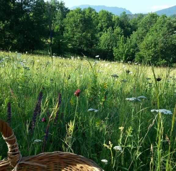 هتل Golemi Kamik Pirot