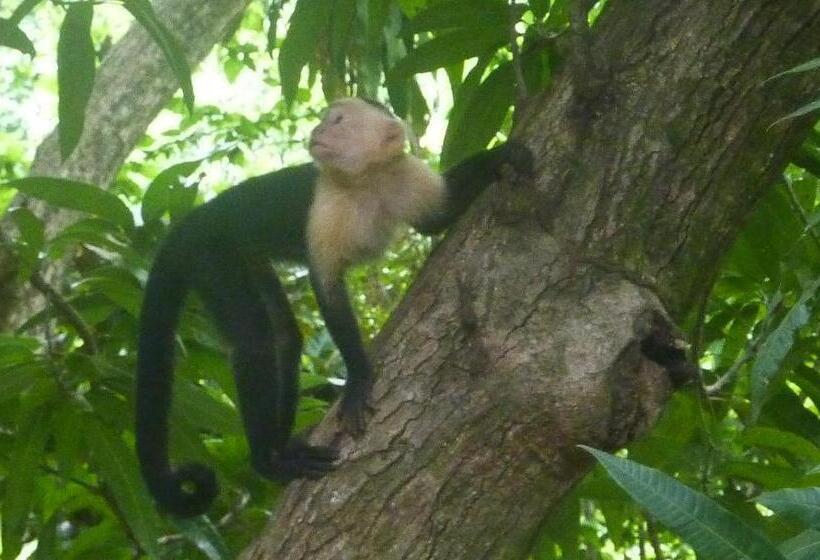 Boho Lodge Montezuma L&l