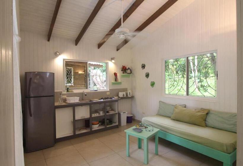 Boho Lodge Montezuma L&l