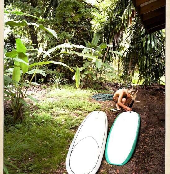 Boho Lodge Montezuma L&l