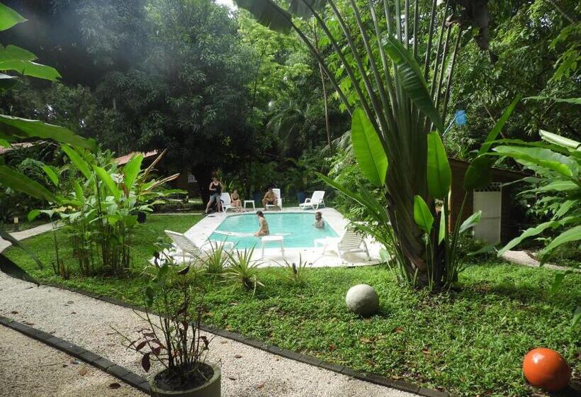 Boho Lodge Montezuma L&l