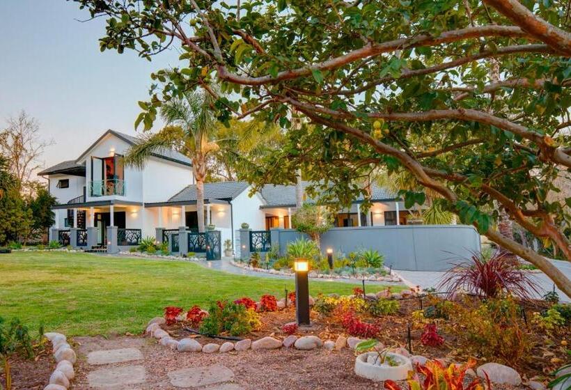 بنسيون Amour Guest House