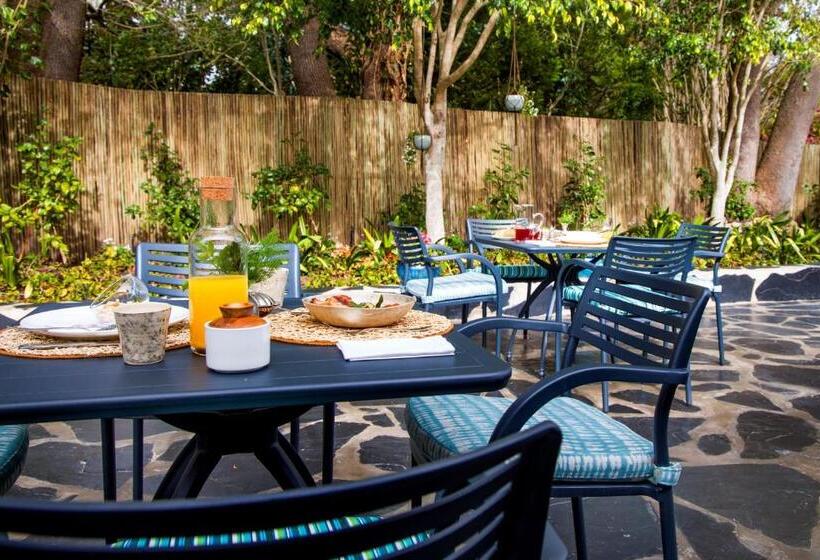 بنسيون Amour Guest House