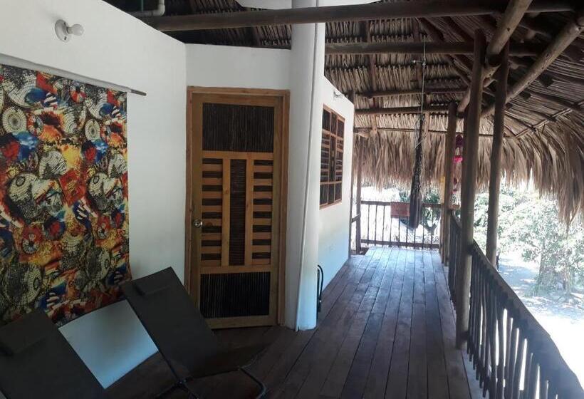 פנסיון Bao Bao Hostel