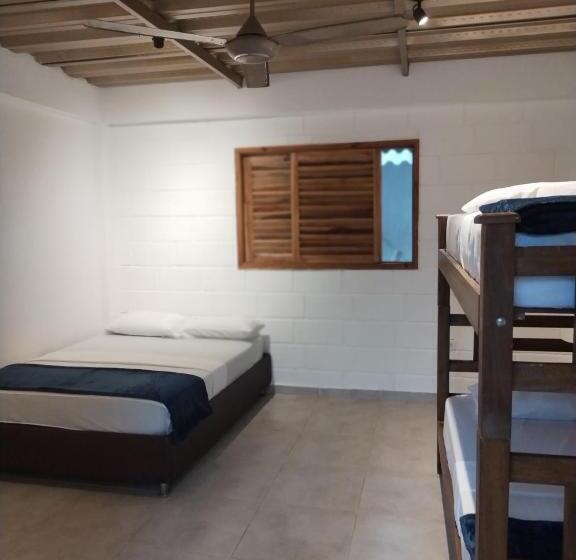 פנסיון Bao Bao Hostel