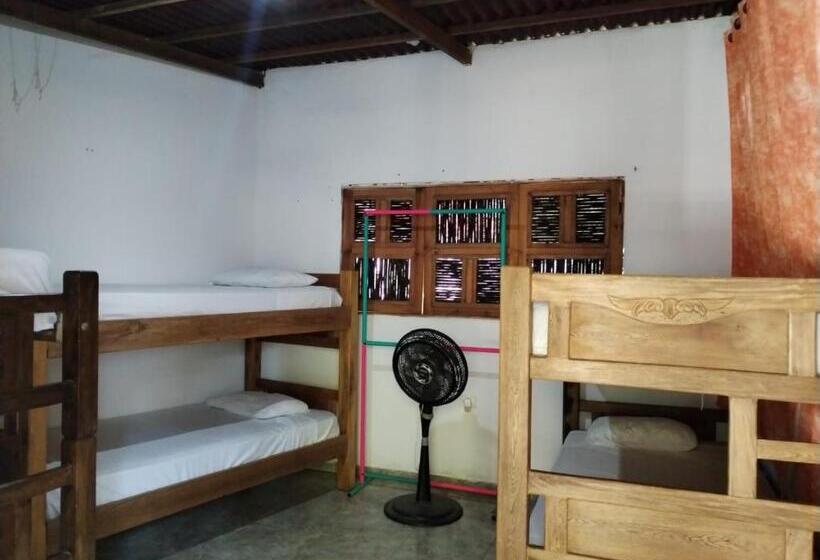 פנסיון Bao Bao Hostel