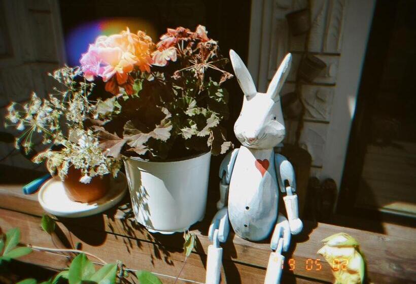 膳宿费 Haru The Guesthouse