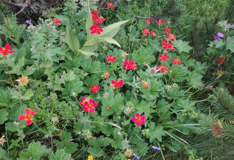 ペンション Horizont Dobrinishte