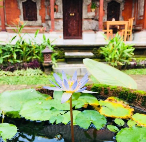 بنسيون Local Family House