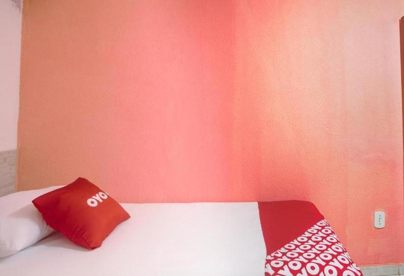 ペンション Pousada Aroeira