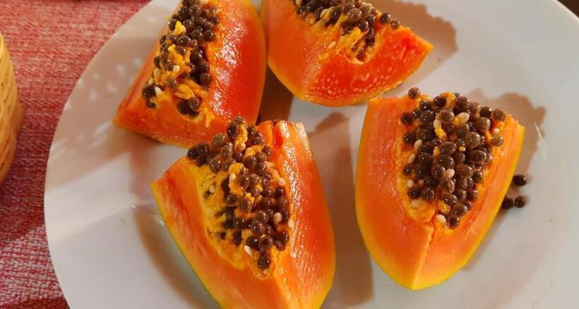 ペンション Pousada Uai Tiradentes