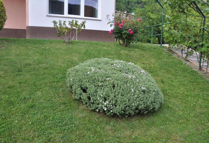 پانسیون Rezidenca Ervin