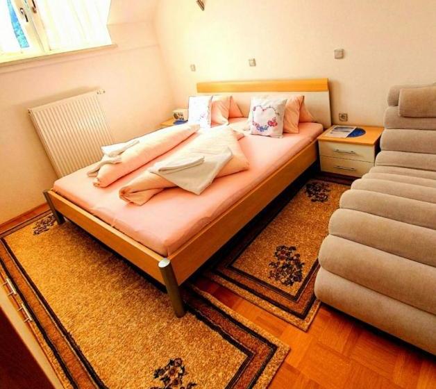 پانسیون Rezidenca Ervin