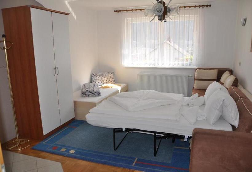 پانسیون Rezidenca Ervin