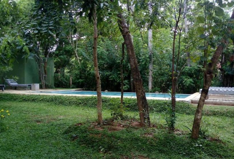 Пансион The Orchard Habarana