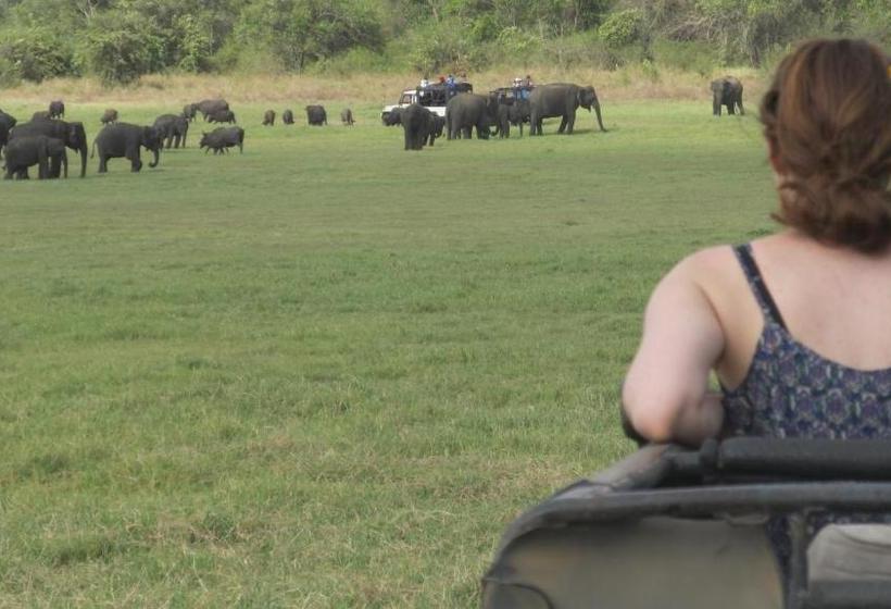 Пансион The Orchard Habarana