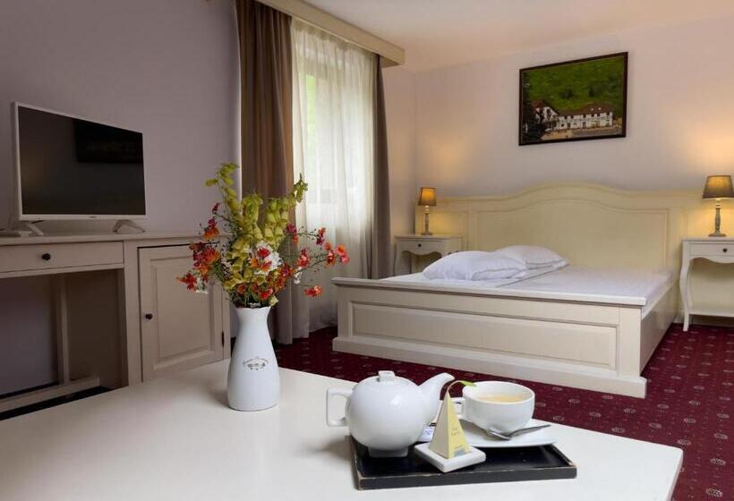 Pensiunea Poiana Izvoarelor