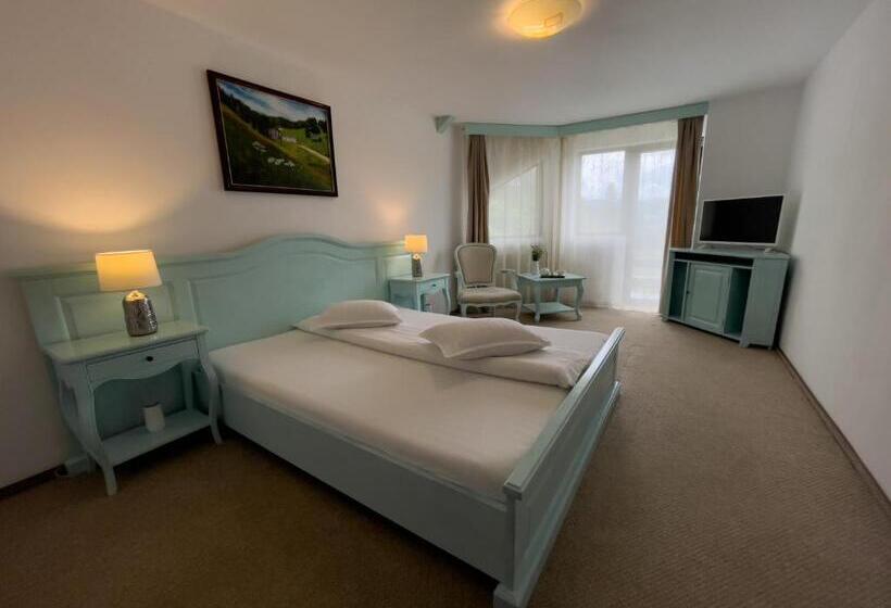 Pensiunea Poiana Izvoarelor