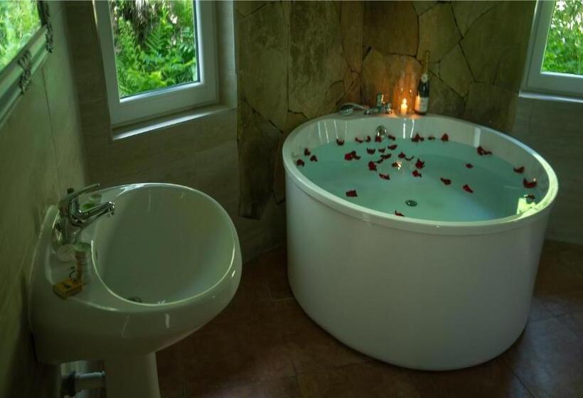 Pensiunea Poiana Izvoarelor