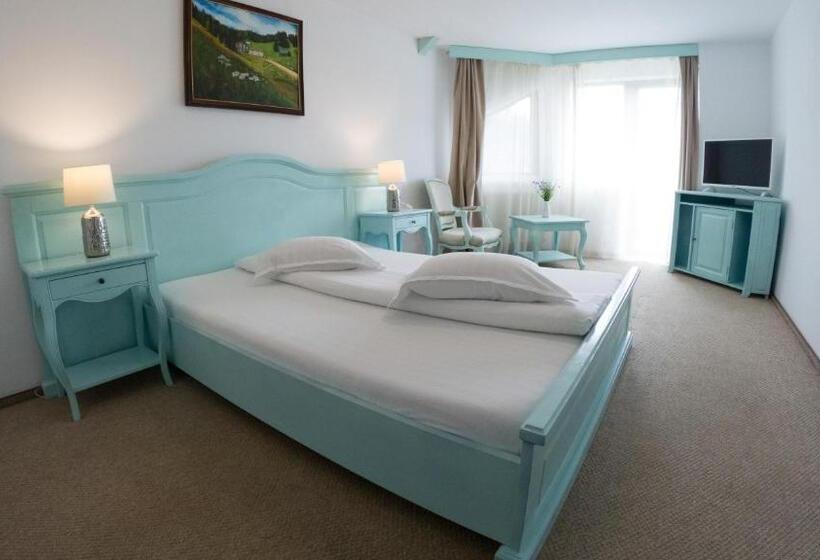 Pensiunea Poiana Izvoarelor