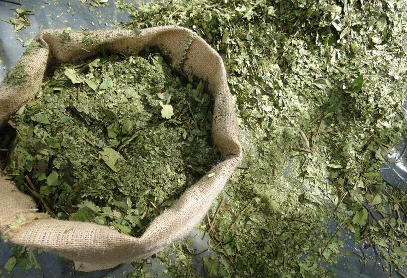 ホテル Yasí Yateré Reserva Agroecológica