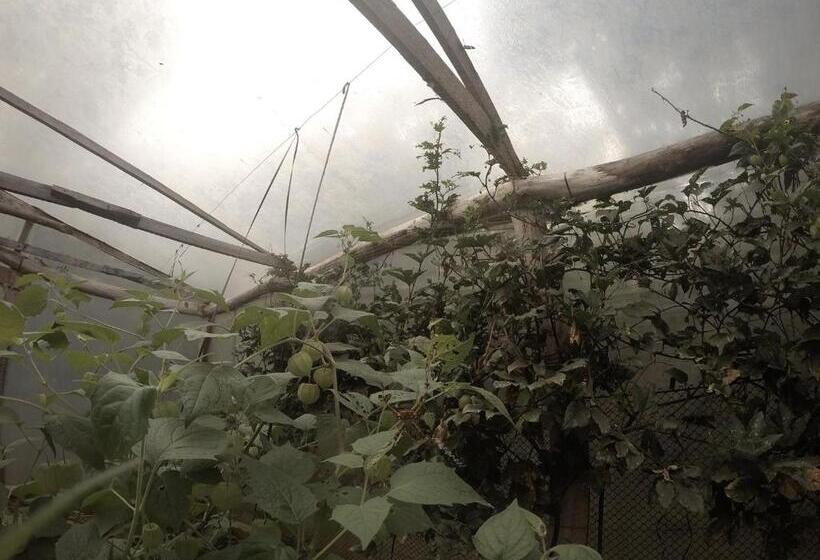 ホテル Yasí Yateré Reserva Agroecológica