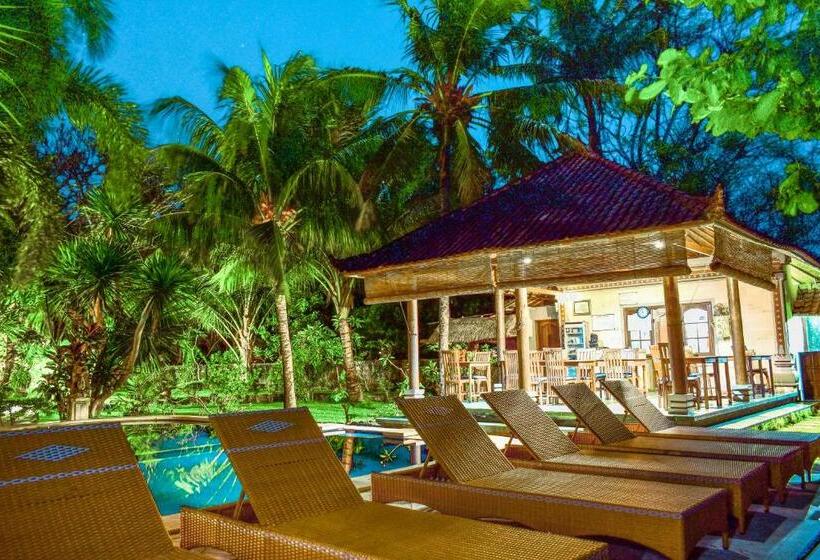 פנסיון Ganesha Amed