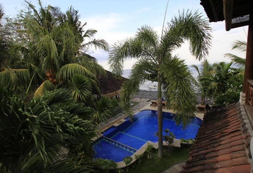 פנסיון Ganesha Amed