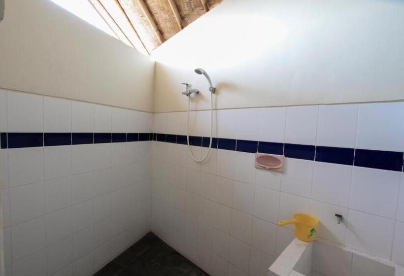 פנסיון Ganesha Amed