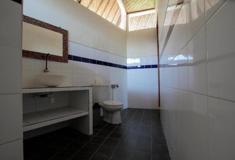 פנסיון Ganesha Amed