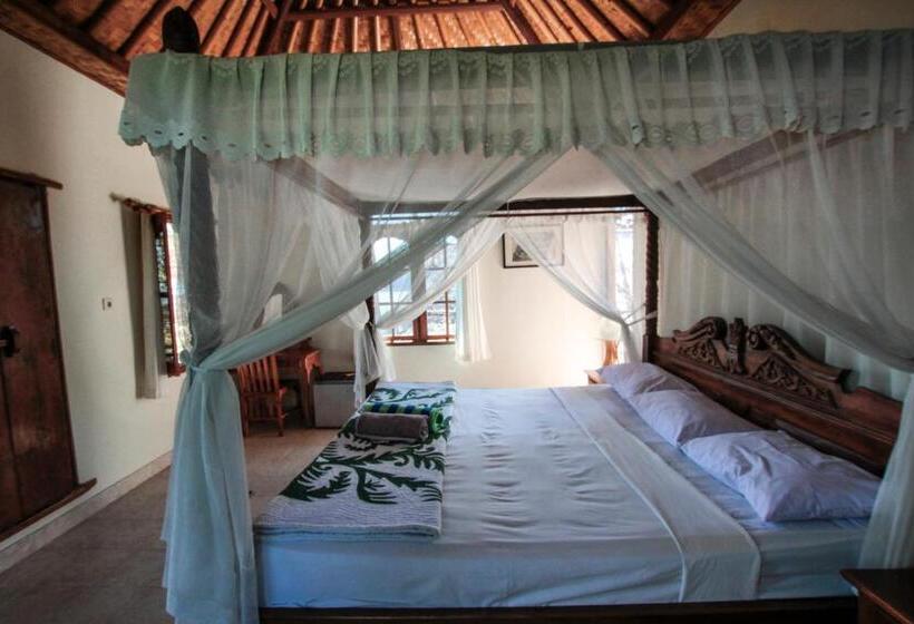 פנסיון Ganesha Amed