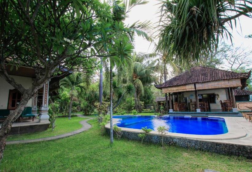 פנסיון Ganesha Amed