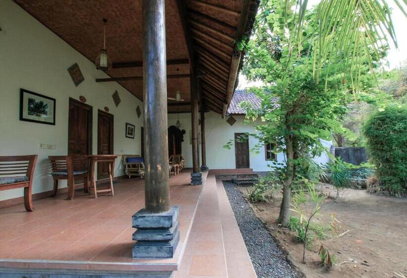 פנסיון Ganesha Amed