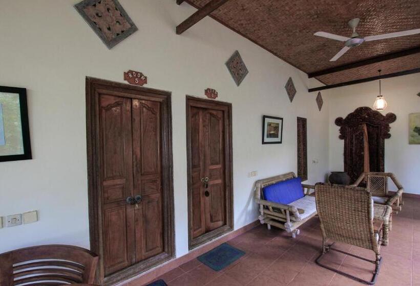 פנסיון Ganesha Amed