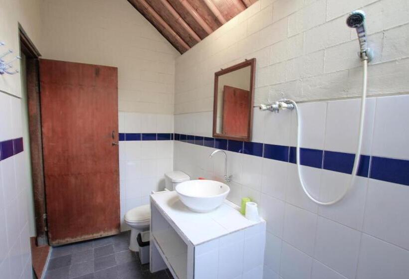 פנסיון Ganesha Amed