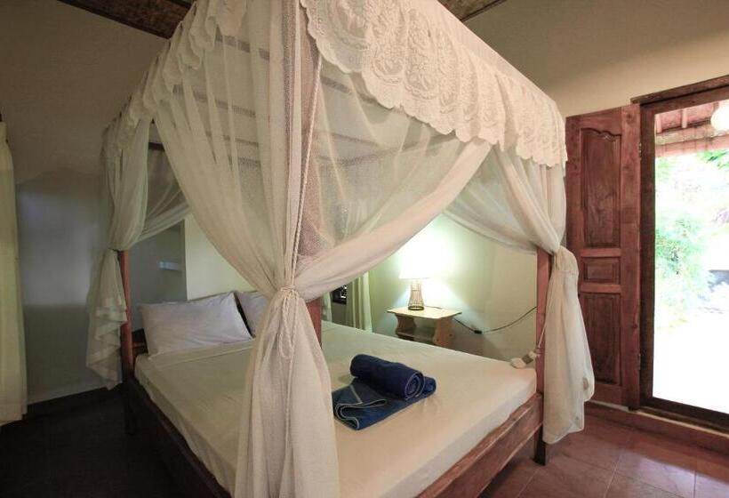 פנסיון Ganesha Amed