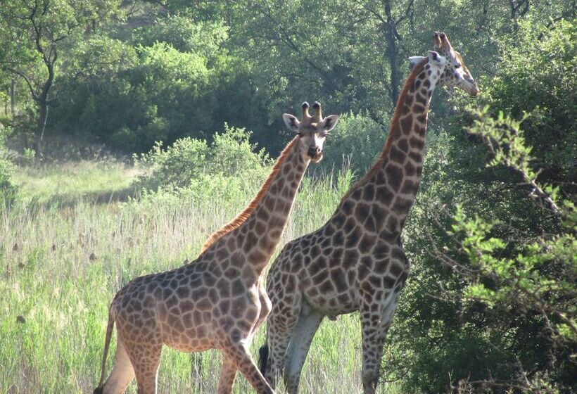 ペンション La Barune Game Lodge