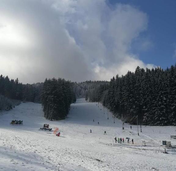 פנסיון Penzion čtyřlístek