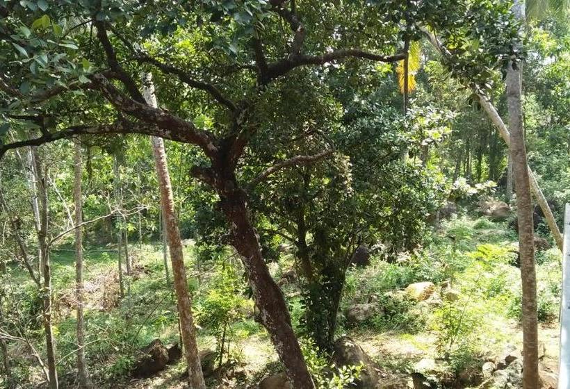 פנסיון Sunworld Villa