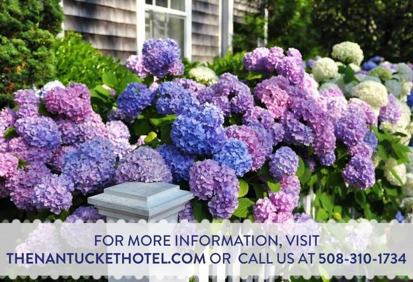 The Nantucket Hotel & Resort