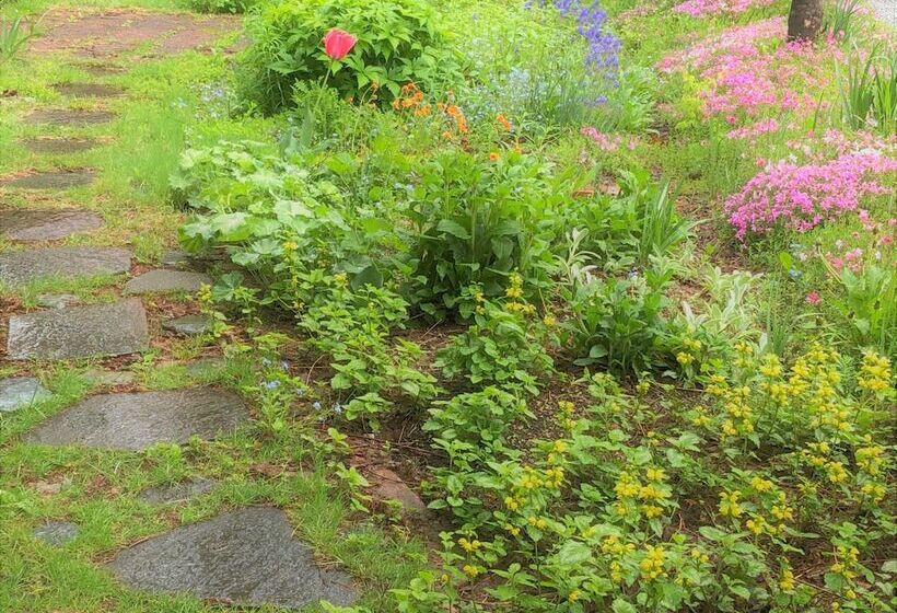 旅馆 Hakuba Vivaldi