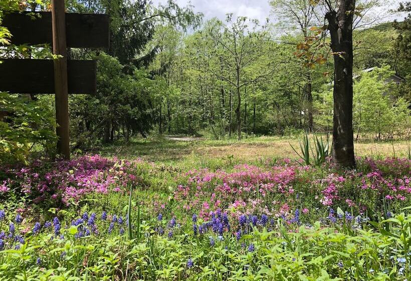 旅馆 Hakuba Vivaldi