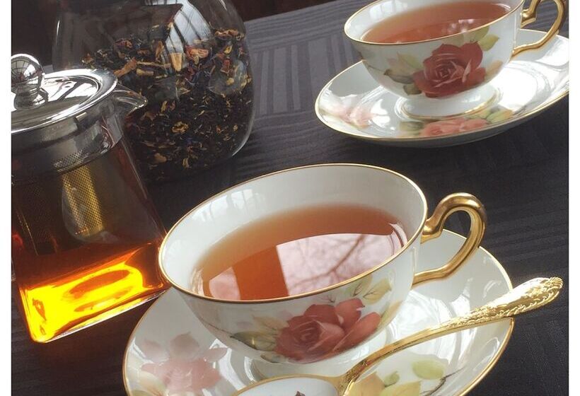 旅馆 Hakuba Vivaldi