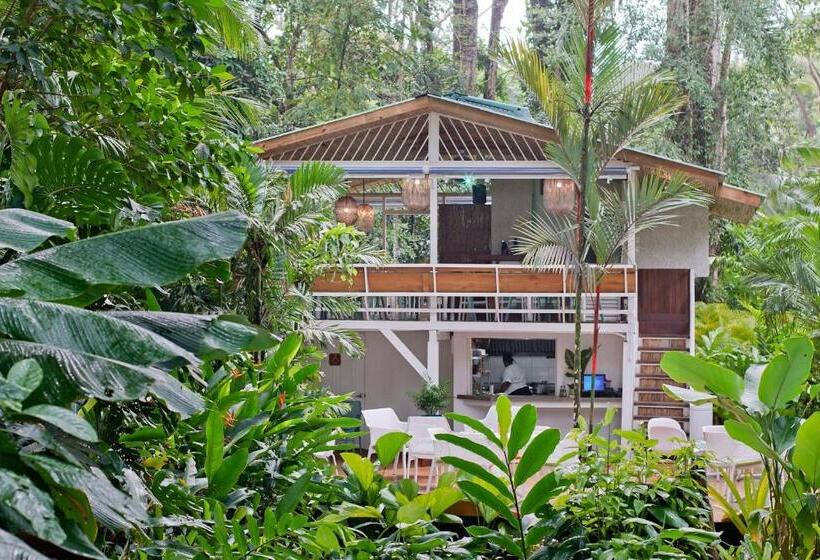 酒店 Aguas Claras Member Of The Cayuga Collection