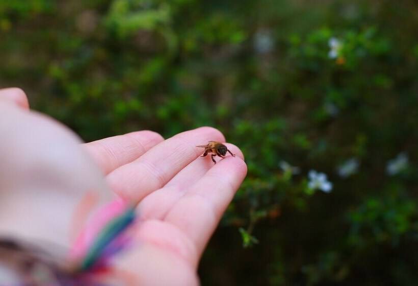 펜션 Buriti Ecoh Rnt56521