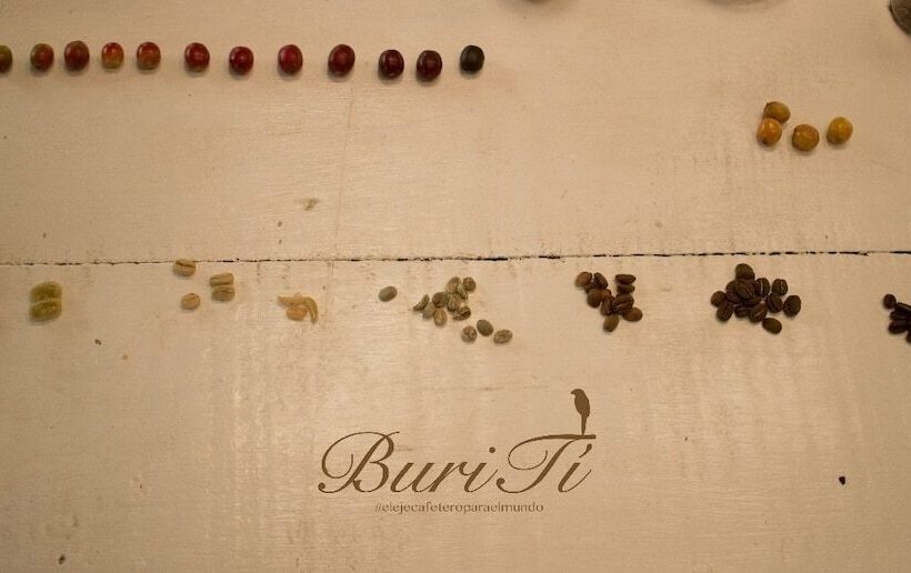 펜션 Buriti Ecoh Rnt56521