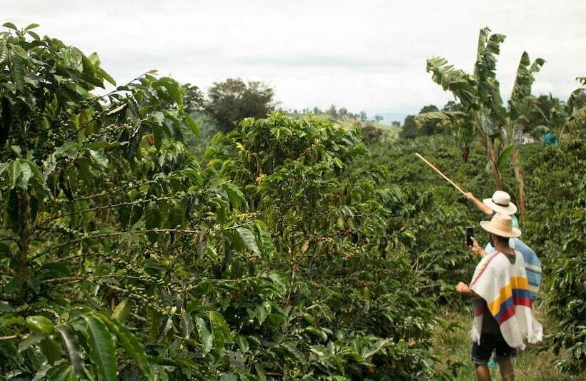 펜션 Buriti Ecoh Rnt56521